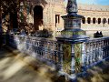 DSC08524 - Copy